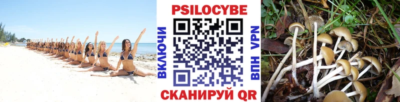 Галлюциногенные грибы мицелий  Дивногорск 