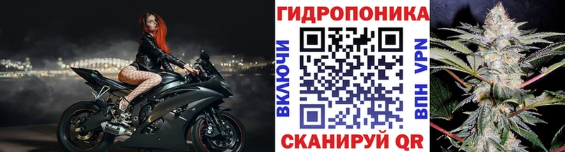Бошки Шишки план  Дивногорск 